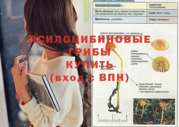 шишки Верхний Тагил